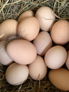 FREE RANGE ORGANIC EGGS