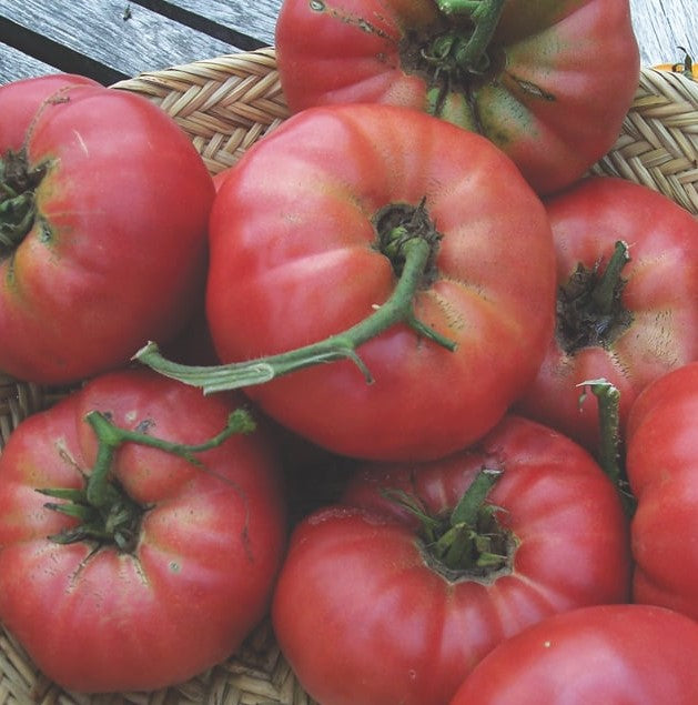 Tomato; Heirloom, cherry, slicing, beefsteak, etc.