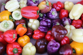 Peppers: Poblano (Ancho), Pot-a-Peno, Big Red, Sweet Banana, Jalafuego, Hungarian Yellow Wax, Kaleidoscope Mix, Italian Pepperoncini, Serrano